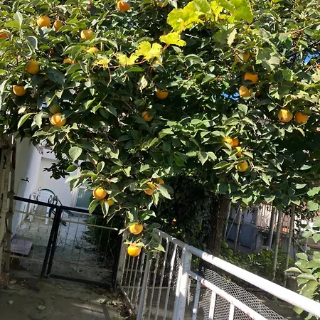 Rayskata Yabalka Hébergement de vacances Varna