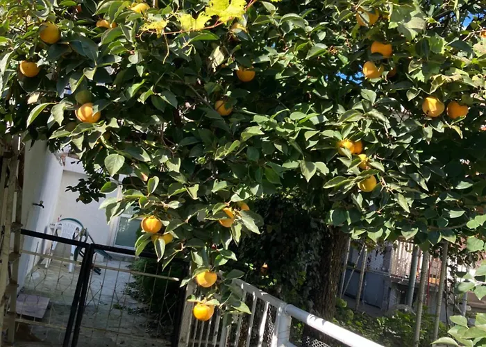 Rayskata Yabalka Feriehus Varna