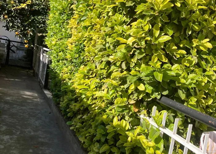 Feriehus Rayskata Yabalka